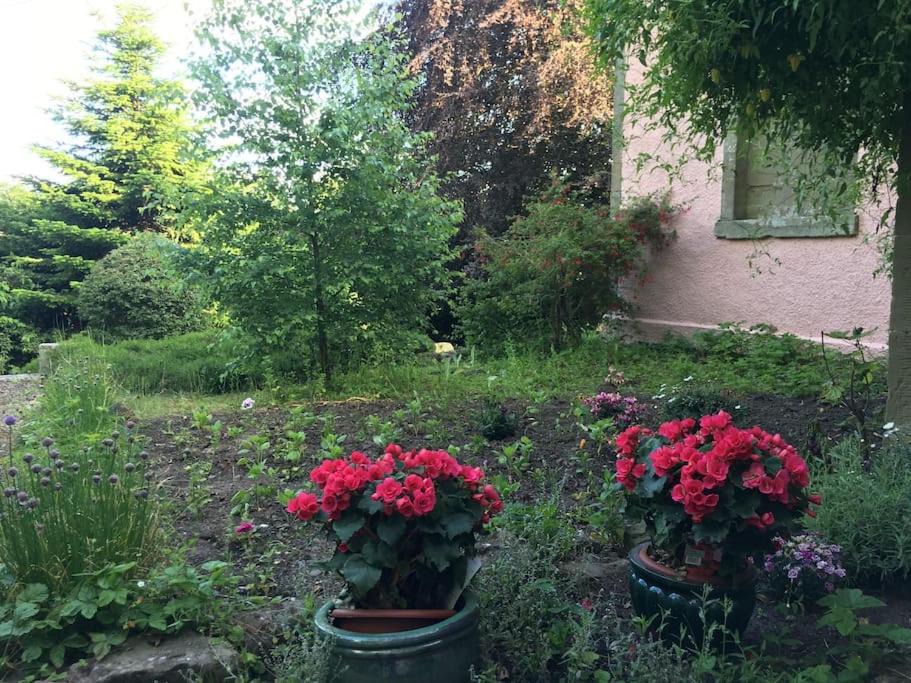 Photo of Others in Swinton