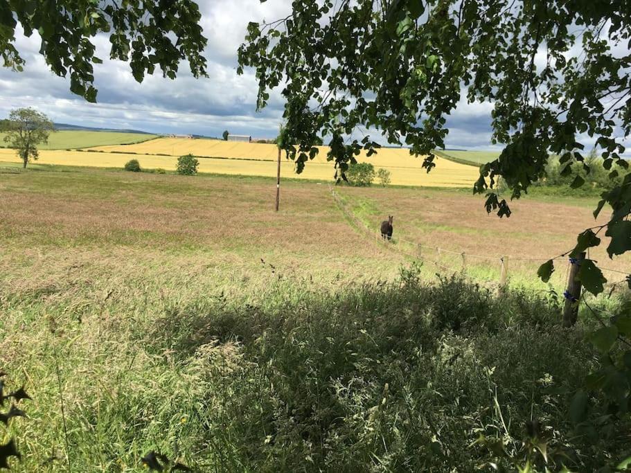 Photo of Others in Swinton