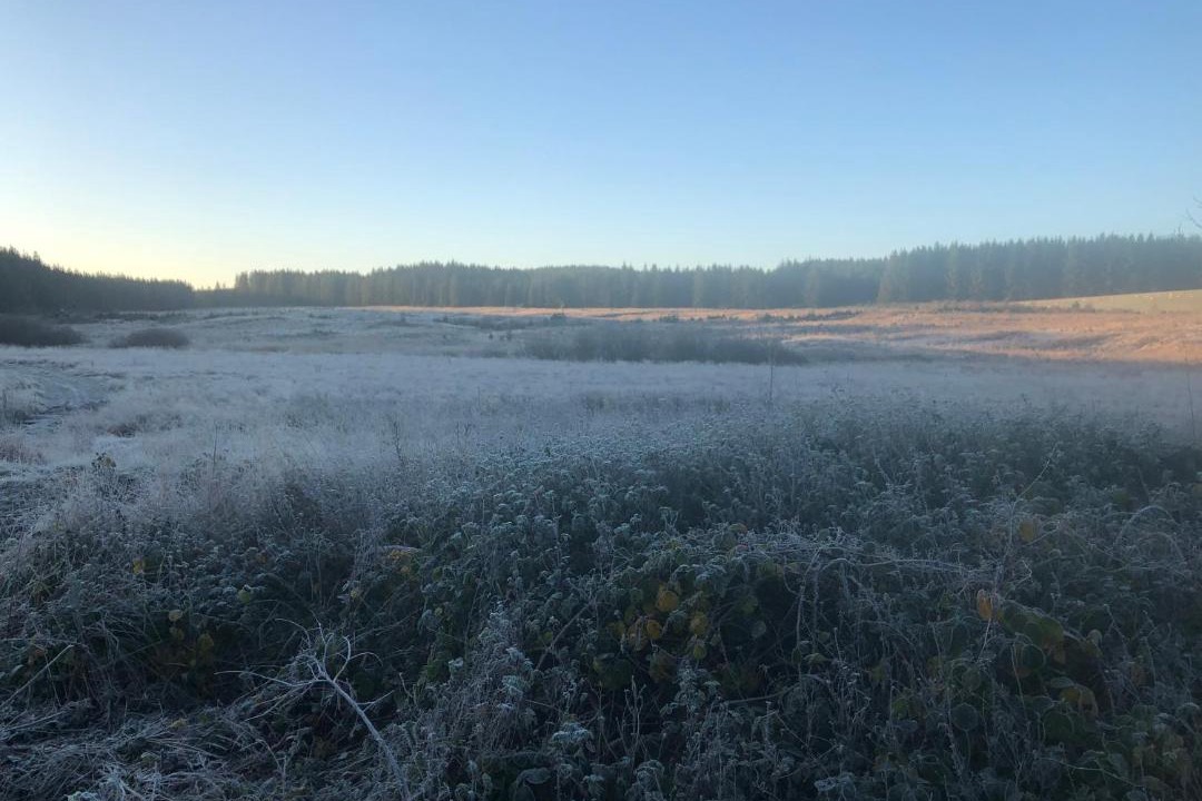 Photo of Others in Newton Stewart