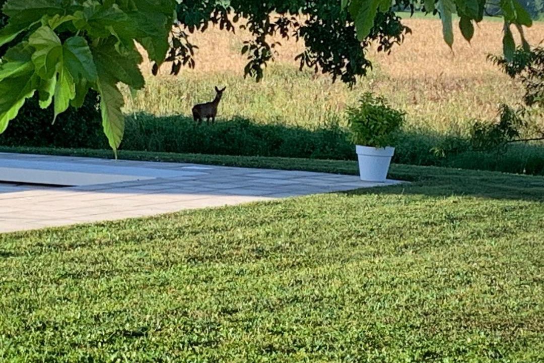 Photo of Others in Boce