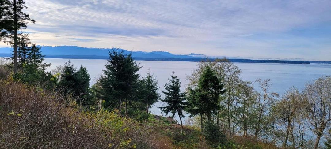 Photo of Outdoor in Greenbank