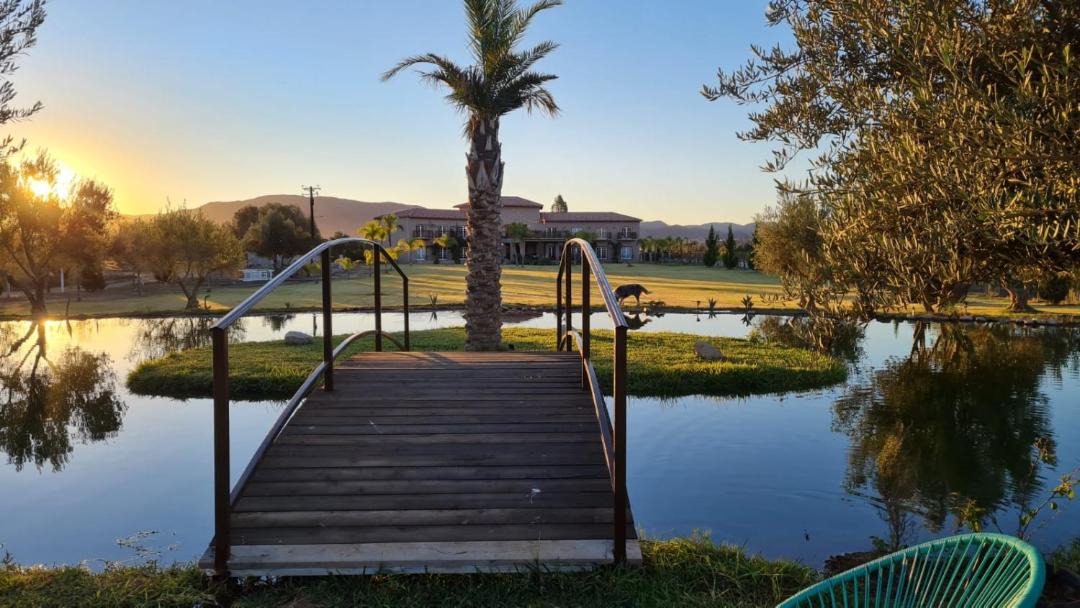 Photo of Others in Valle de Guadalupe