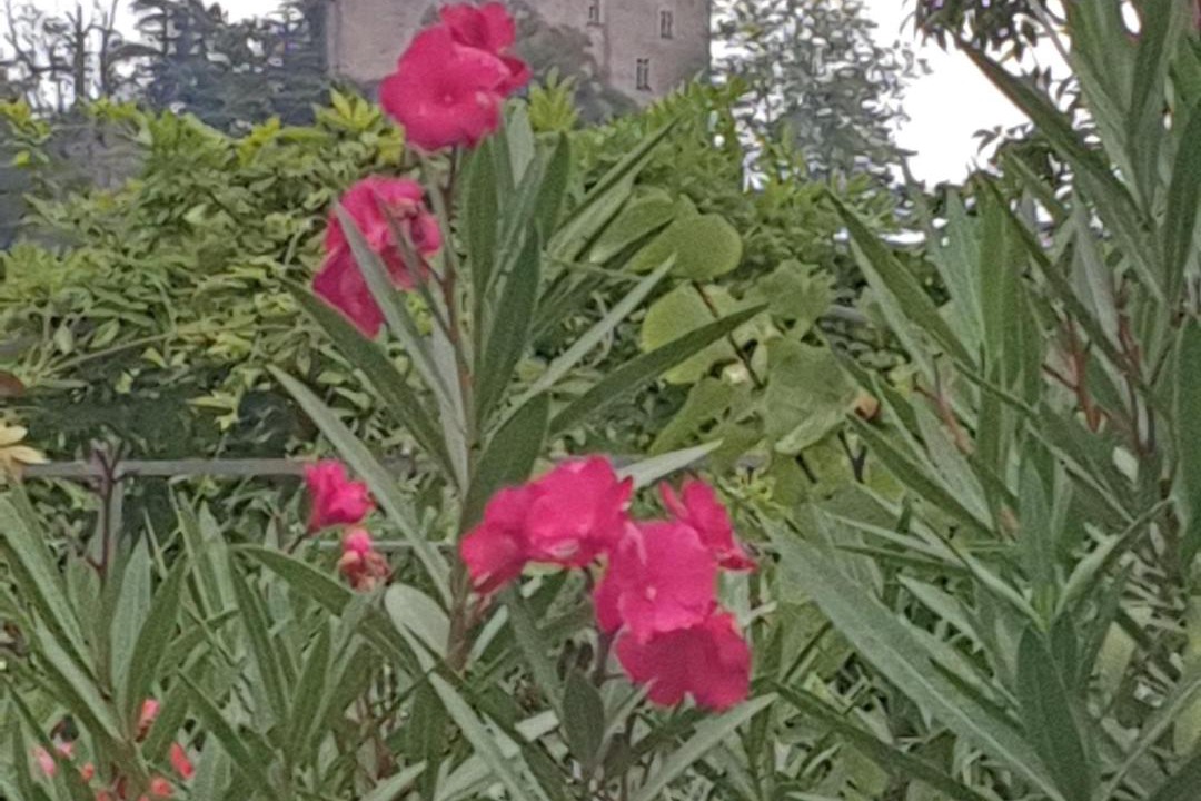 Photo of Others in Cremieu