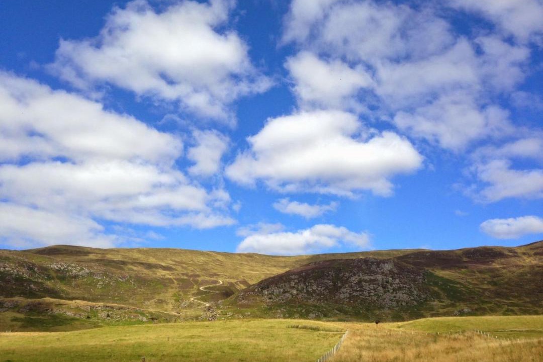 Photo of Others in Newtonmore