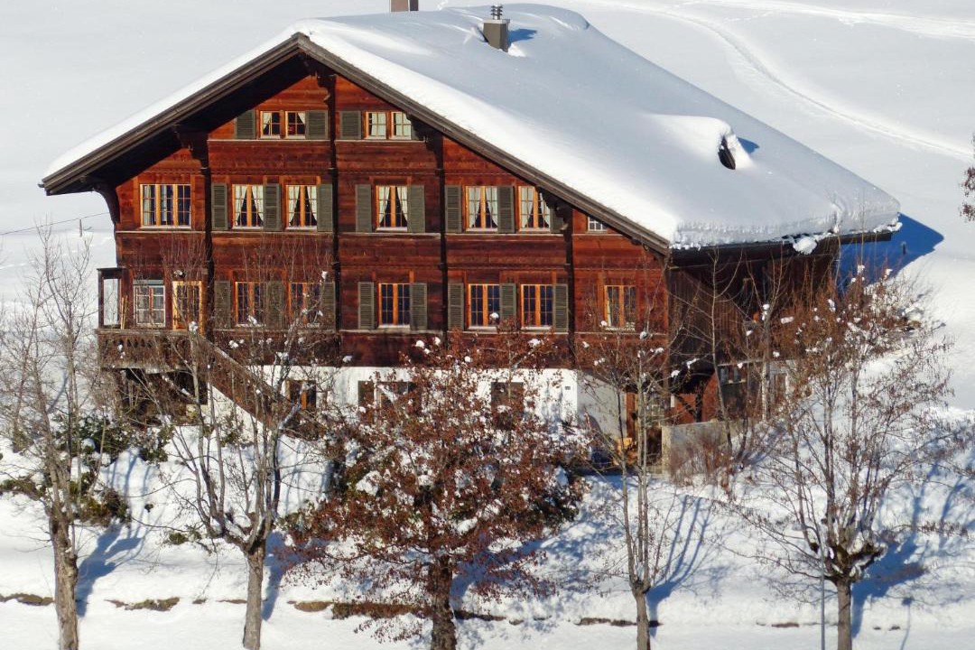 Photo of Others in Saanenmoeser