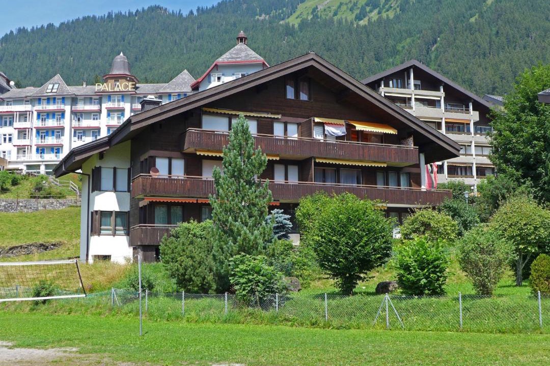 Photo of Others in Wengen