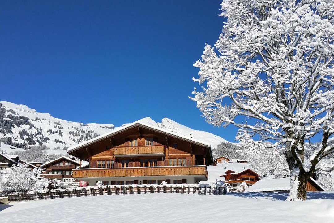 Photo of Others in Grindelwald
