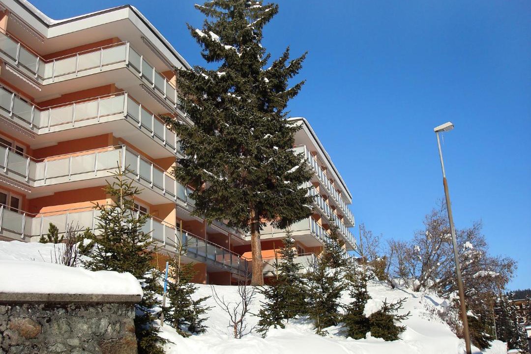 Photo of Others in Arosa