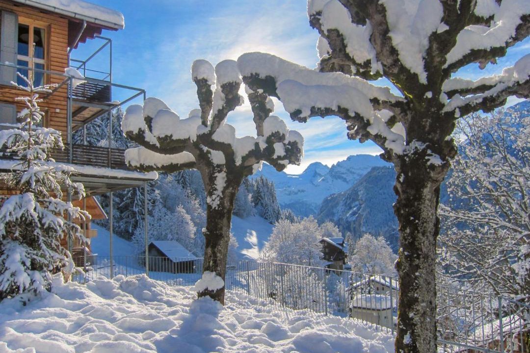 Photo of Others in Wengen