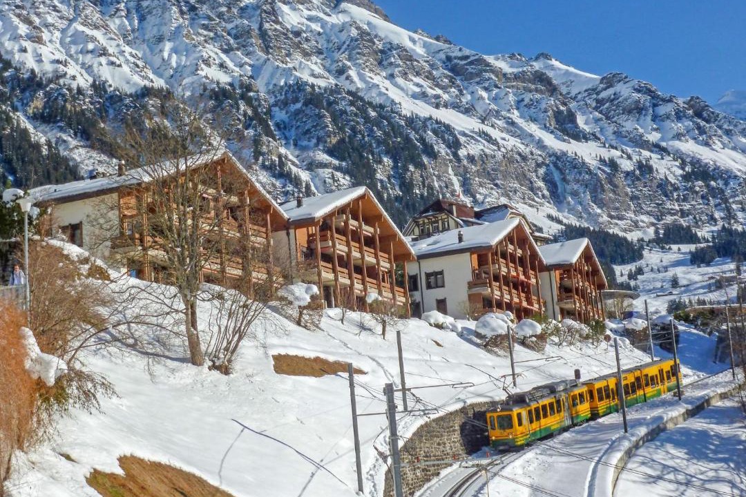 Photo of Others in Wengen