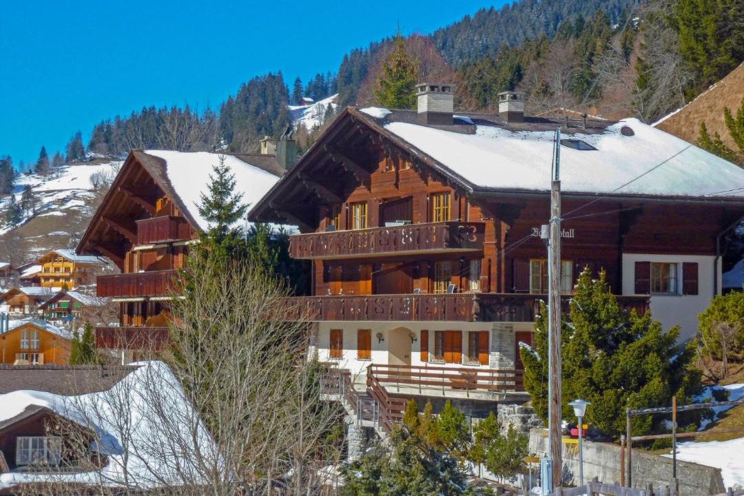 Photo of Others in Wengen