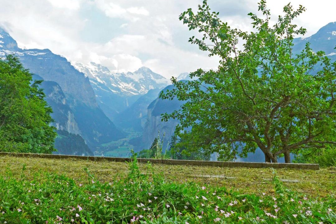 Photo of Others in Wengen