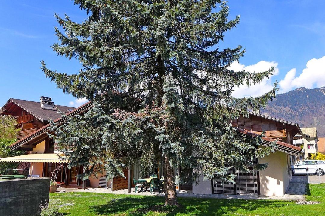 Photo of Others in Wilderswil