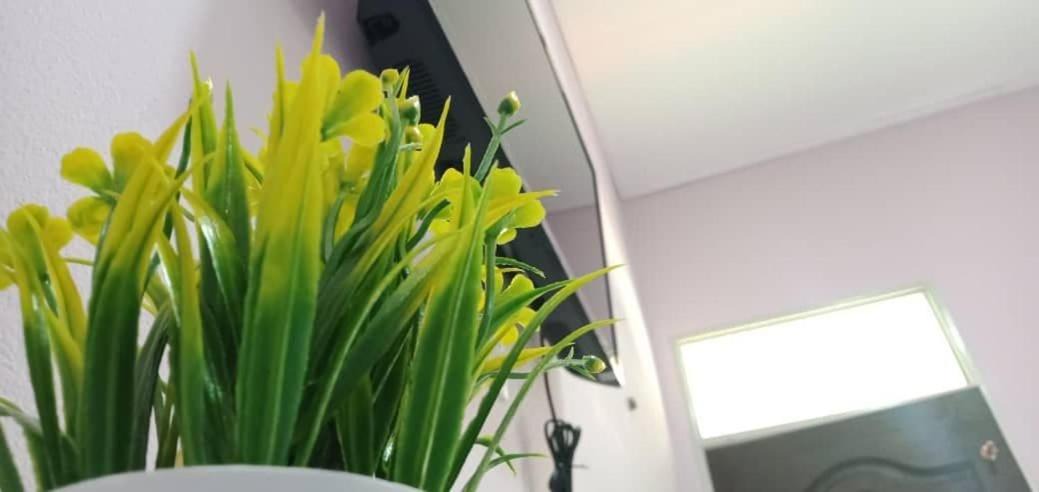 Photo of Bathroom in Kampong Raja