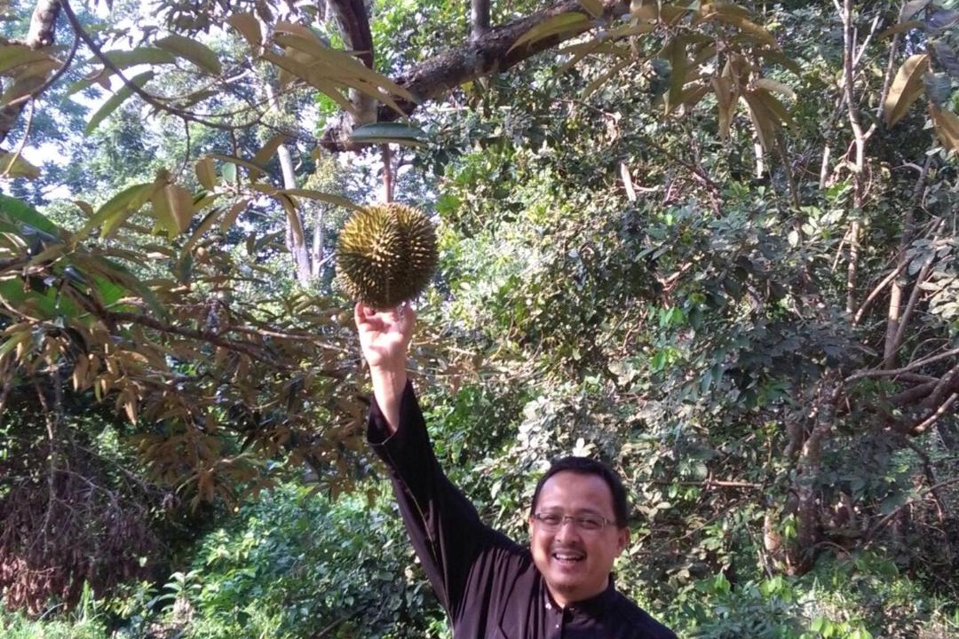 Photo of Human In Picture in Kampung Guar