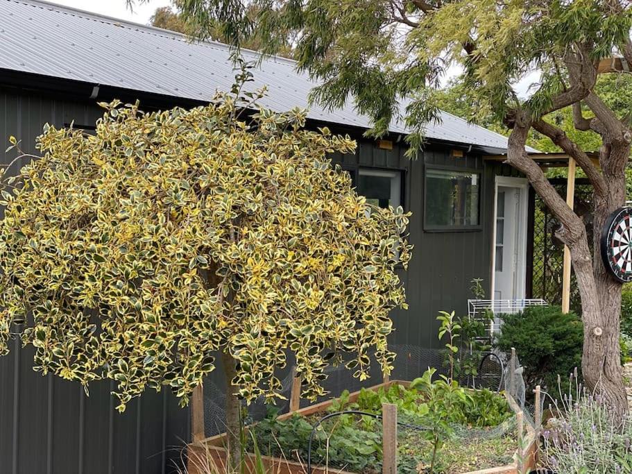 Photo of Buildings in Herne Hill