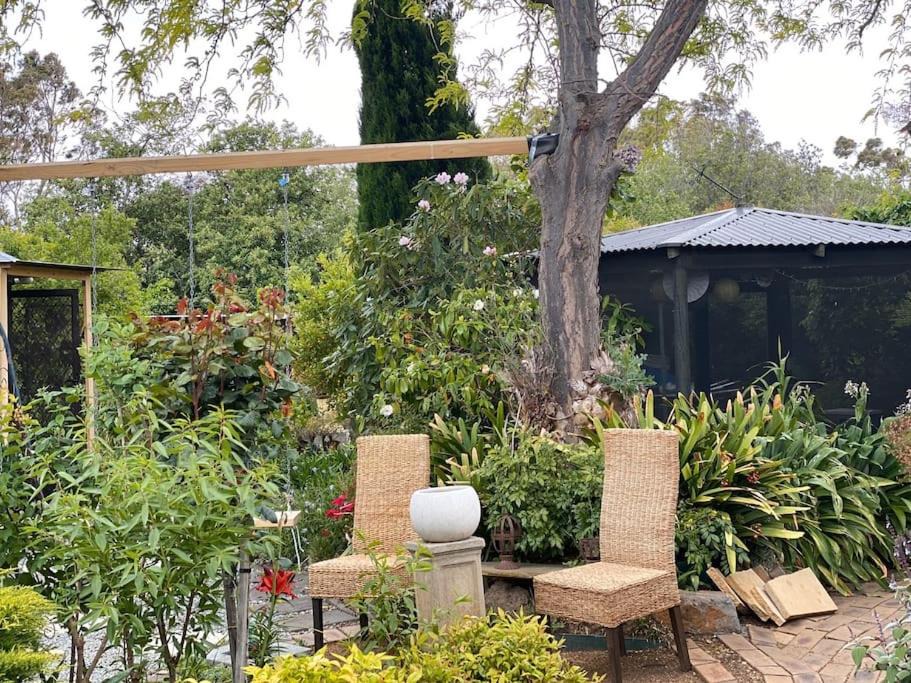 Photo of Others in Herne Hill