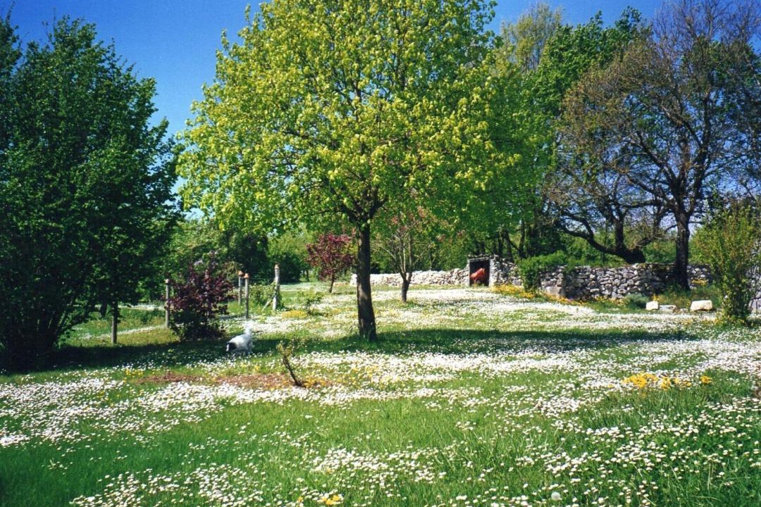 Photo of Others in Valeilles