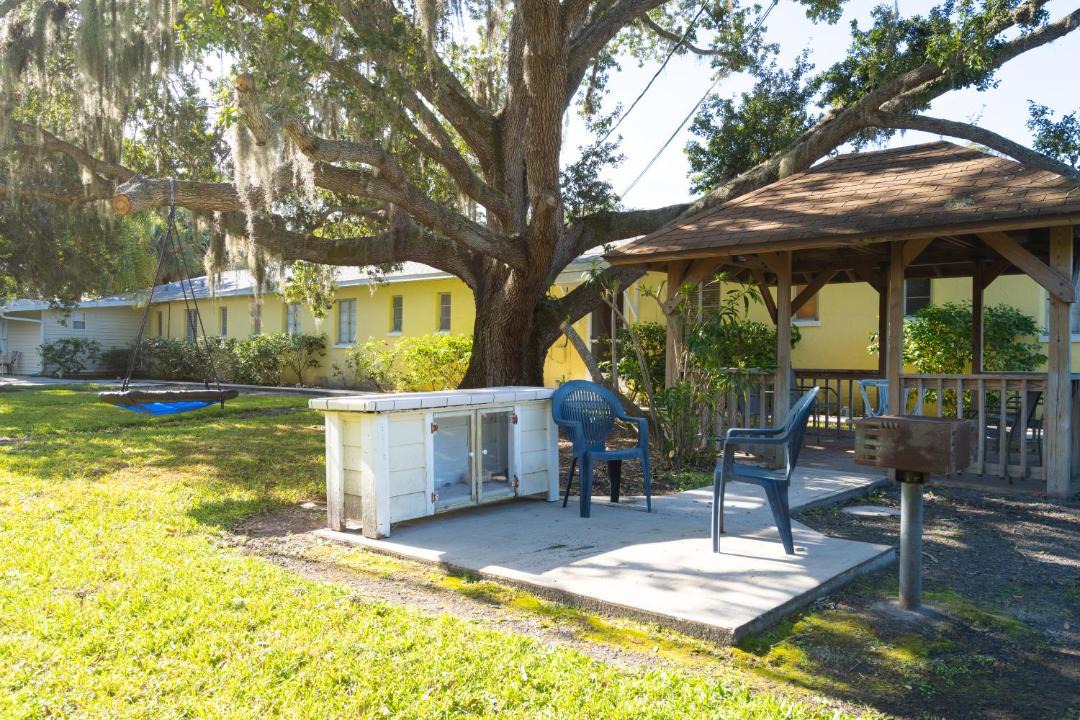 Photo of Others in Safety Harbor