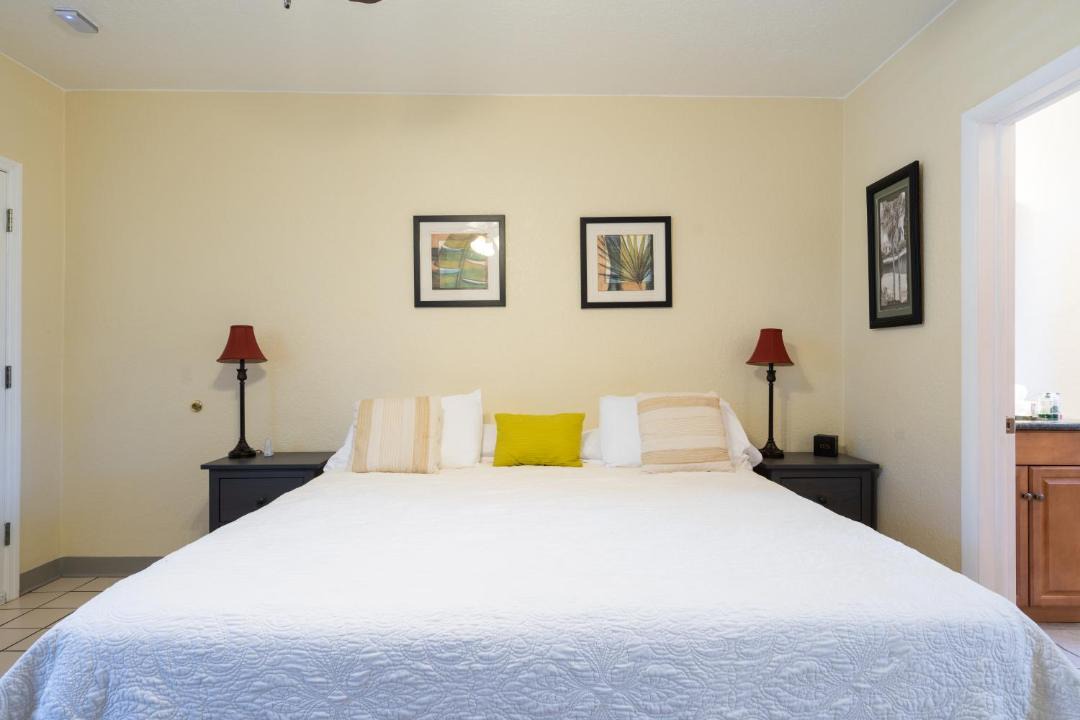 Photo of Others in Safety Harbor