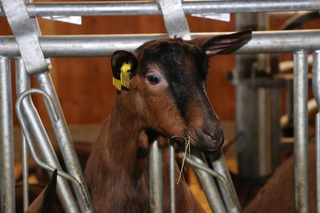 Photo of Others in Montceau-et-Echarnant