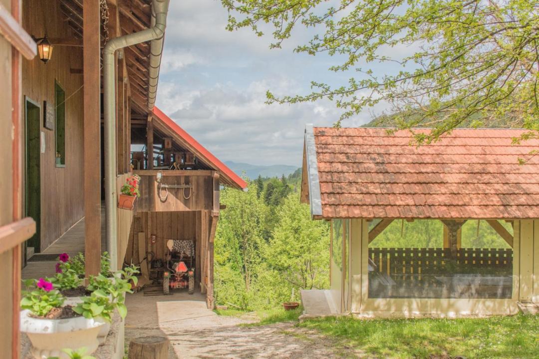 Photo of Others in Skrad