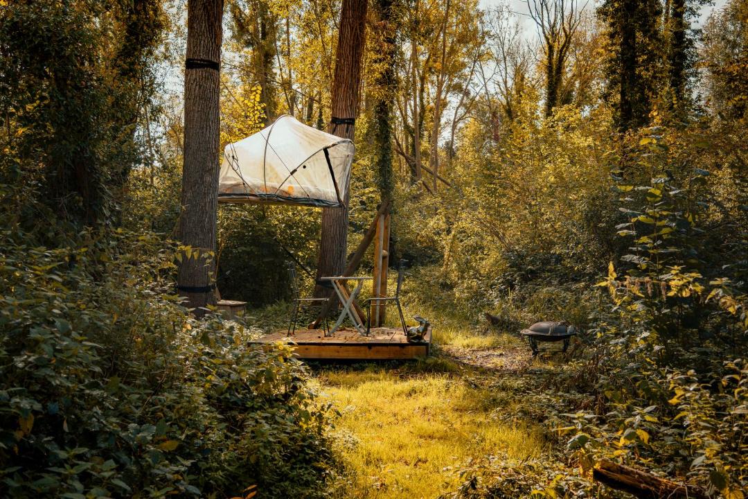 Photo of Others in Noisy-sur-Ecole