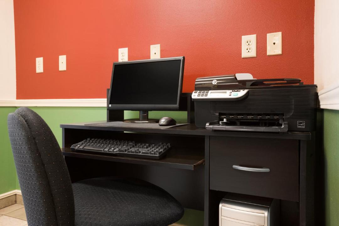 Photo of Others in Salmon