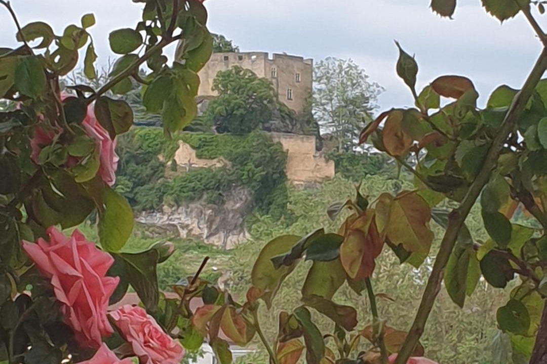 Photo of Others in Cremieu