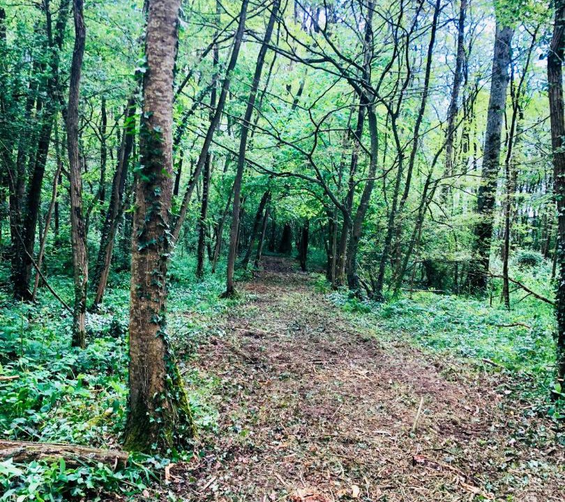 Photo of Others in Saint-Philbert-de-Grand-Lieu