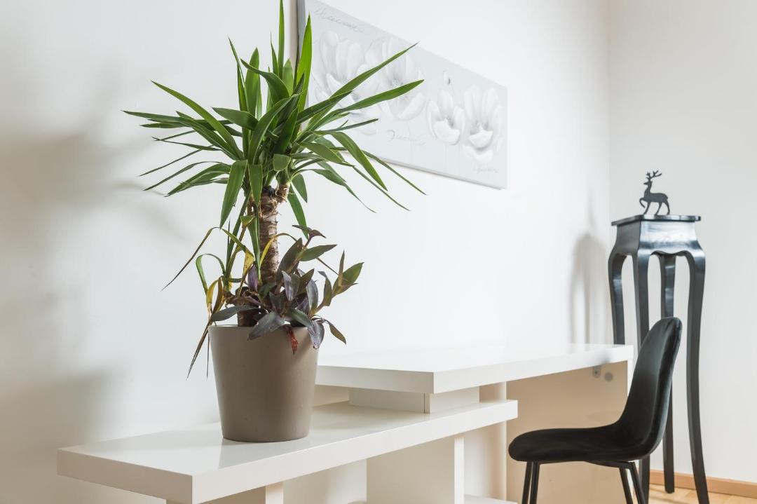 Photo of Others in Saint-Marceau