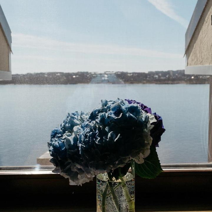 Photo of Others in Kostroma