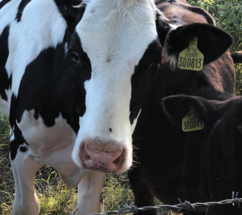 Photo of Others in Burpham