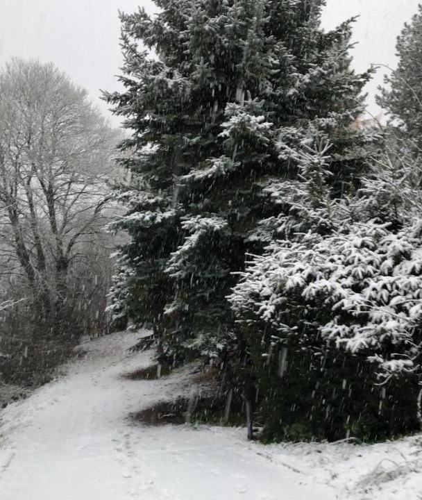 Photo of Others in Wildersbach