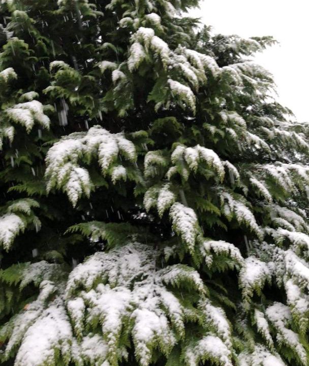 Photo of Others in Wildersbach