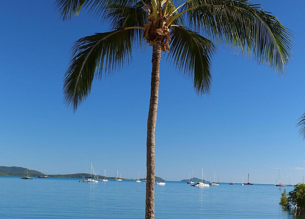 Photo of Others in Airlie Beach