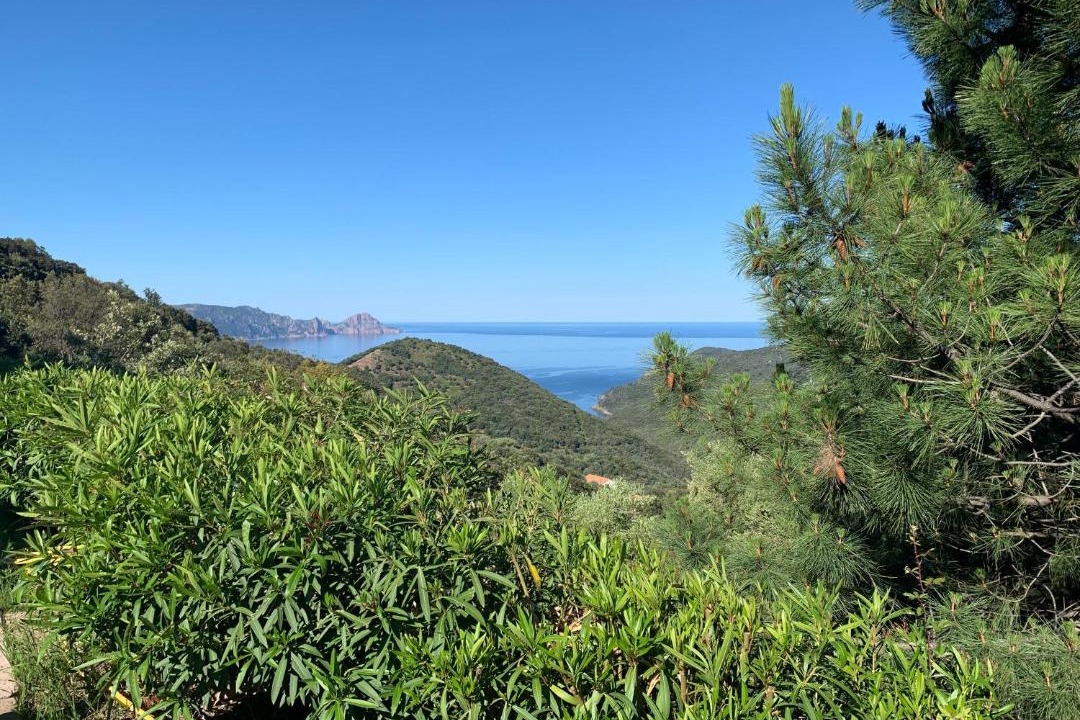 Photo of Others in Partinello