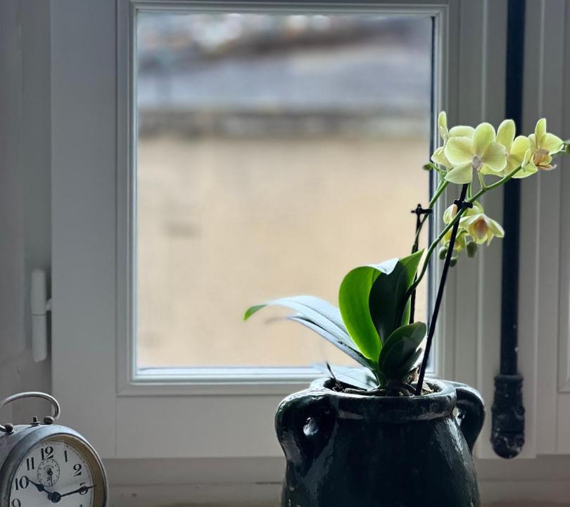 Photo of Others in Lagarde