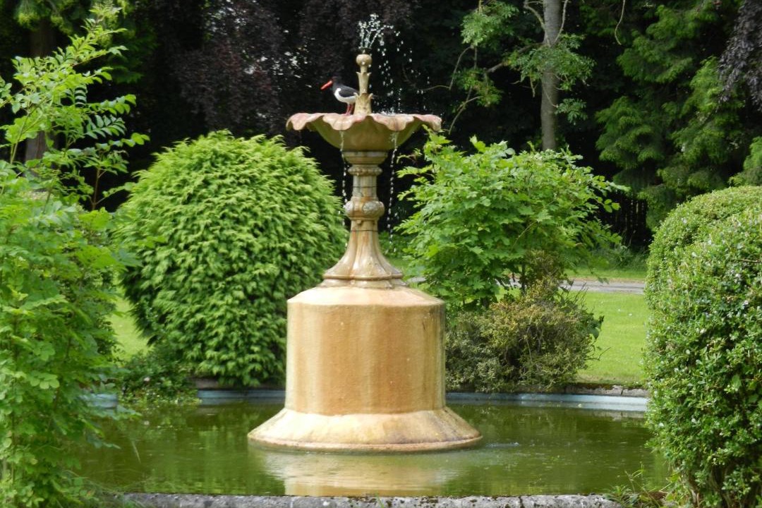 Photo of Others in Glenmorangie