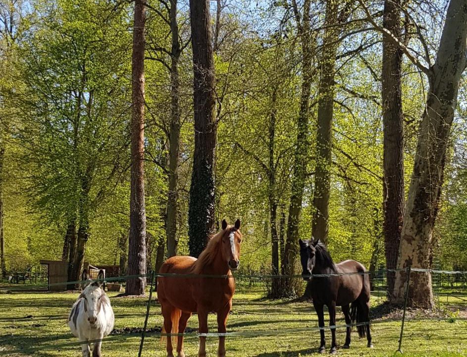 Photo of Others in Ermenonville