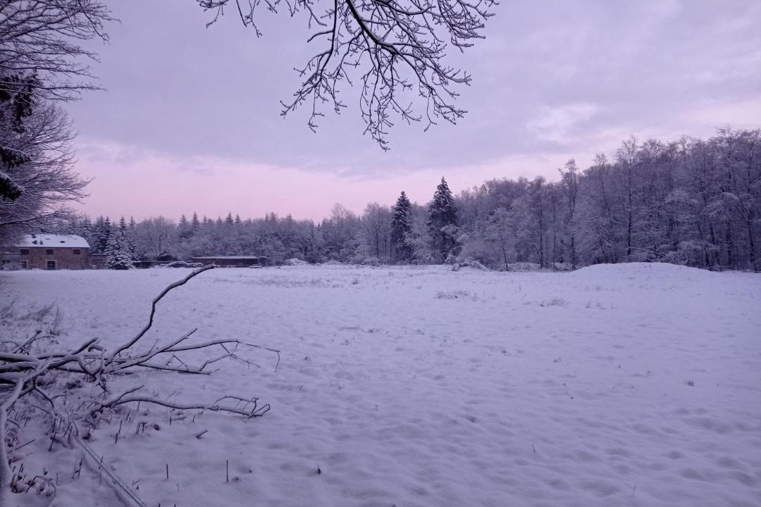 Photo of Others in Revin