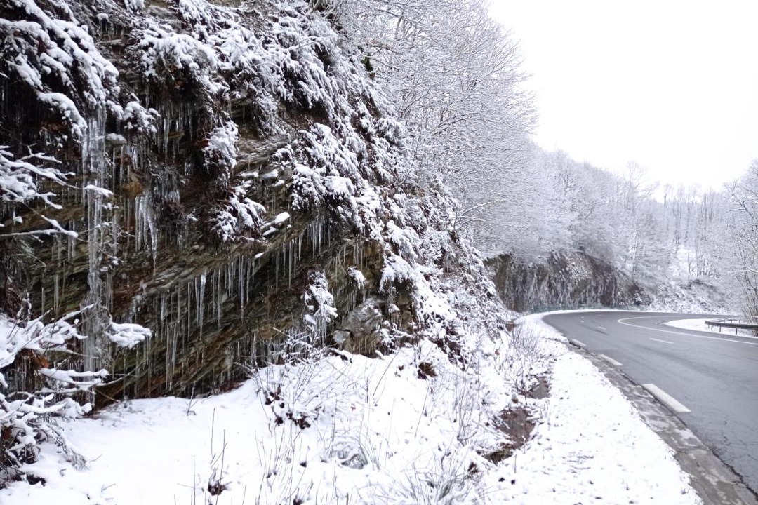 Photo of Others in Revin