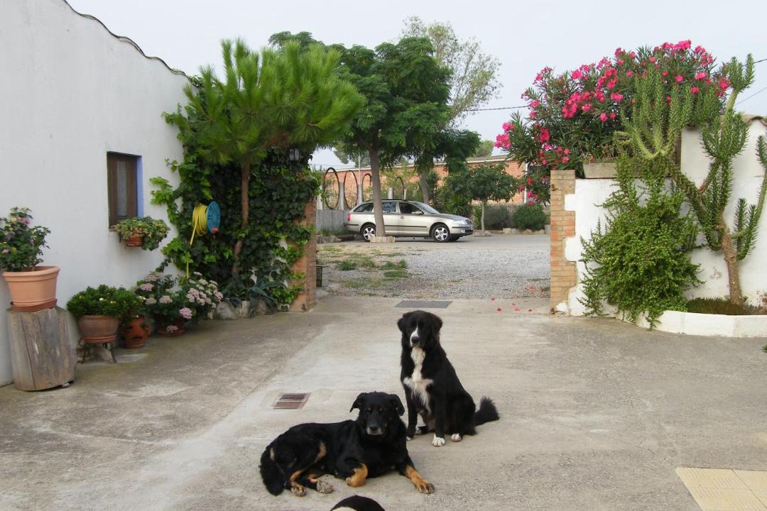 Photo of Others in Vilamacolum