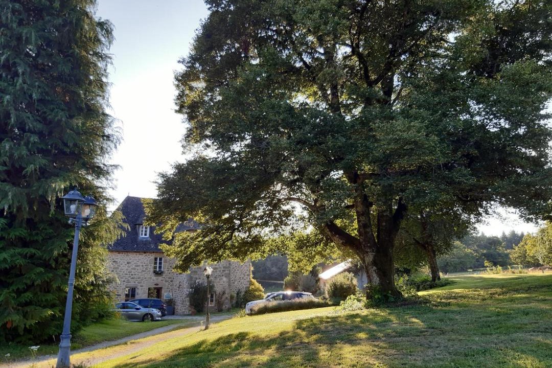 Photo of Others in Camps-Saint-Mathurin-Leobazel