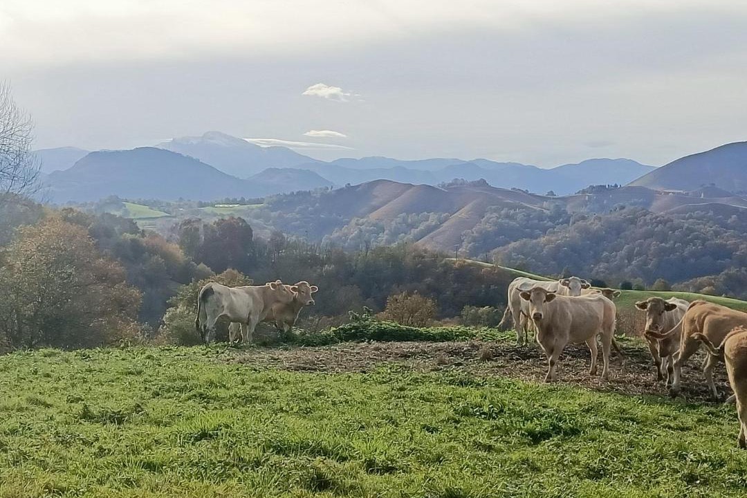 Photo of Outdoor in Aramits