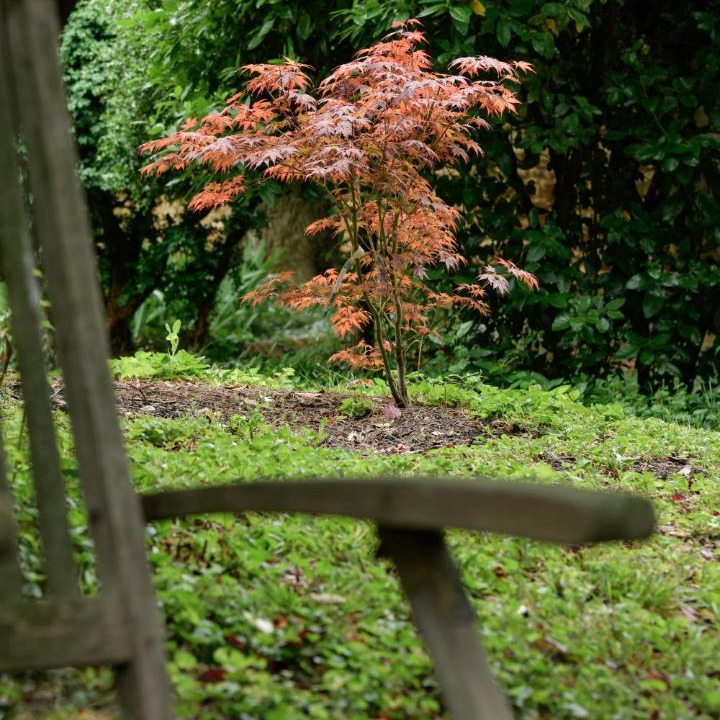 Photo of Others in Blace