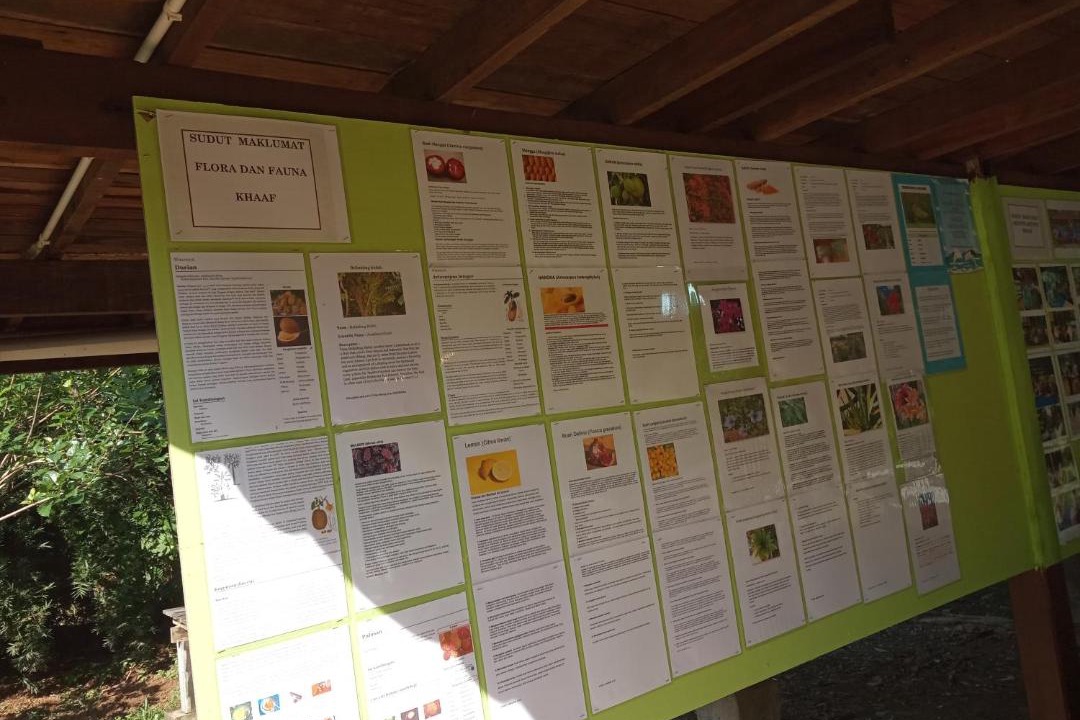 Photo of Others in Kampung Guar