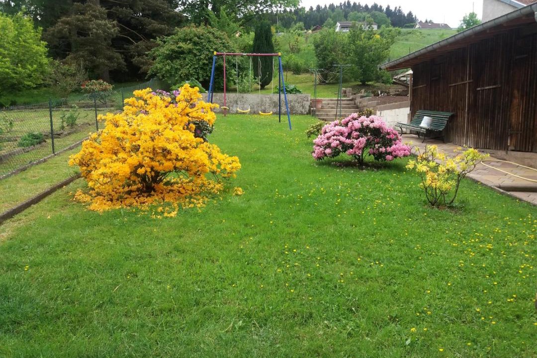 Photo of Others in Senones