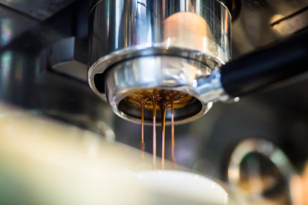 Photo of Others in Coopers Beach