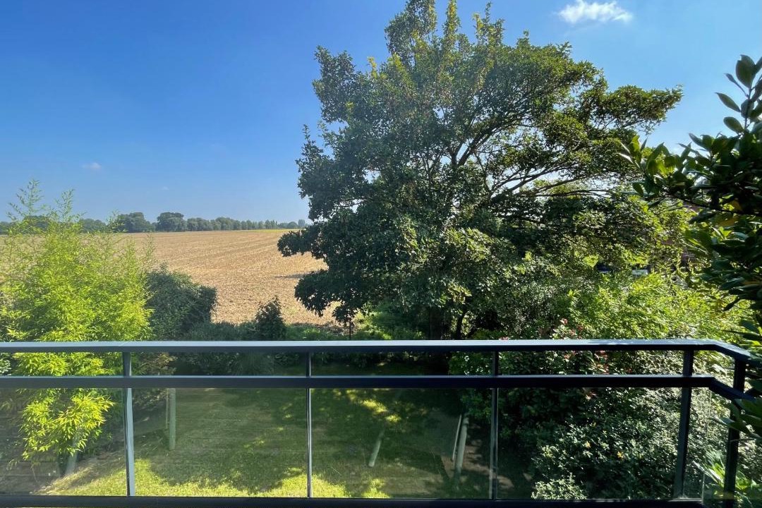 Photo of Others in Steenwerck